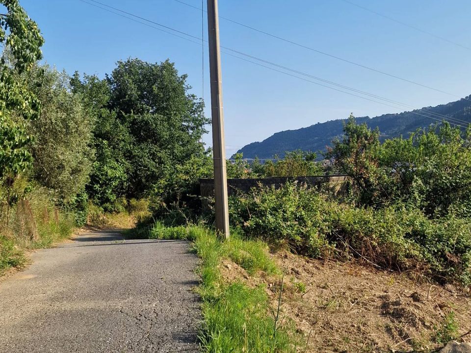 Terra a Camporosso, Imperia - foto 5