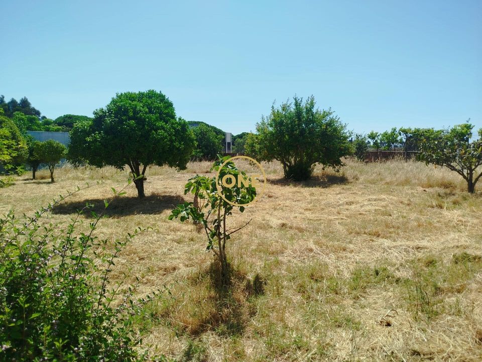 Helårsgrund i Moita, Setubal - foto 2