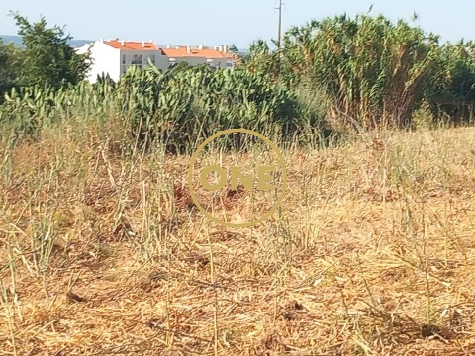 Helårsgrund i Vila Nova da Barquinha, Santarem - foto 4