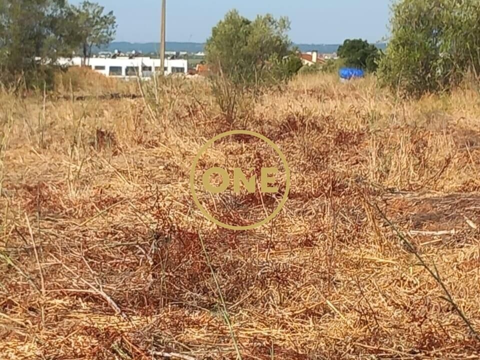 Helårsgrund i Vila Nova da Barquinha, Santarem - foto 5