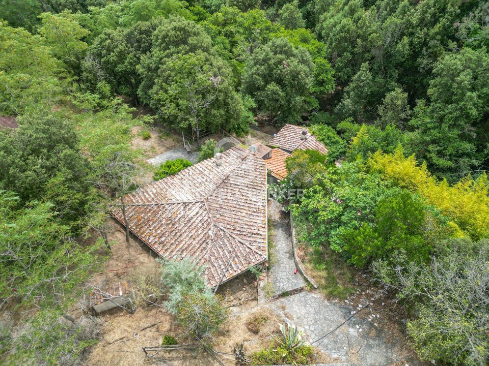 Landejendom i Campo Nell'Elba, Livorno - foto 2