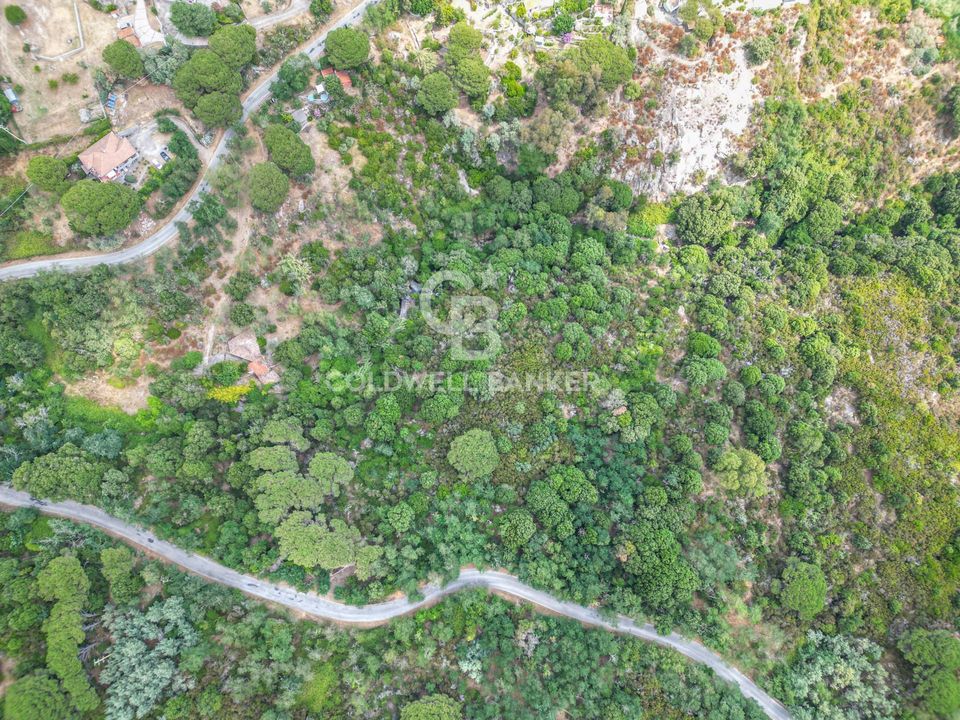 Landejendom i Campo Nell'Elba, Livorno - foto 4