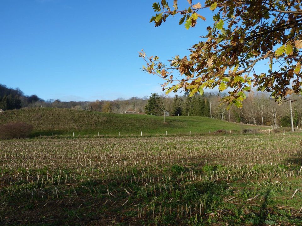 Grond in Saint-Geoire-en-Valdaine, Isere - foto 4