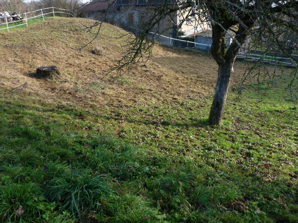 Grond in Saint-Geoire-en-Valdaine, Isere - foto 5