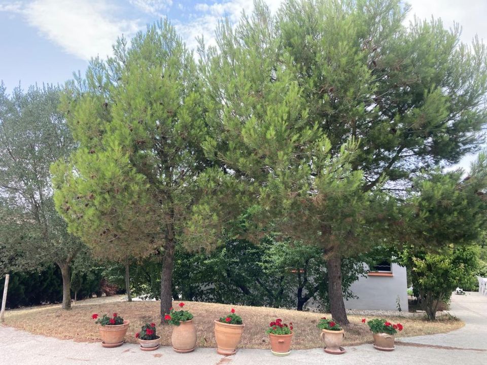 Villa en Montclar, Aude - foto 3