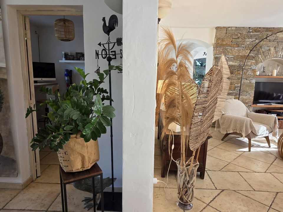 Villa i Penta-di-Casinca, Haute-Corse - foto 4