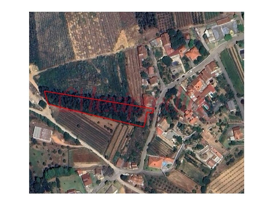 Helårsgrund i Agadao, Aveiro - foto 1