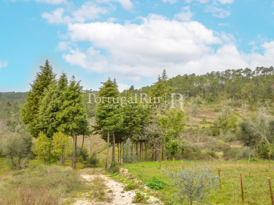 Helårsgrund i Condeixa-a-Nova, Coimbra - foto 1