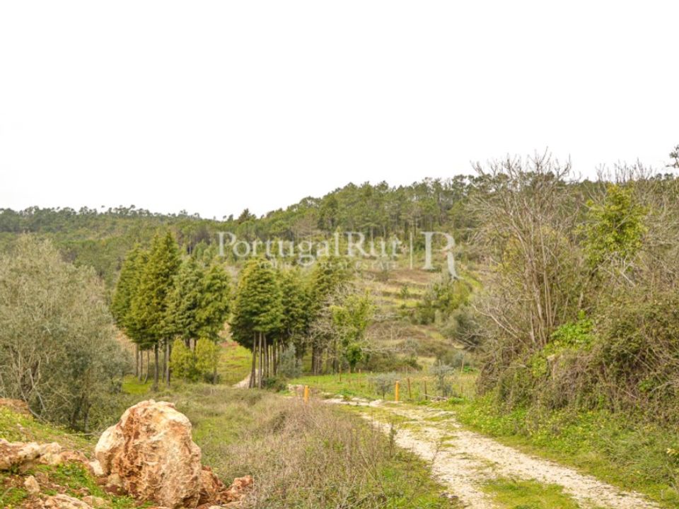 Helårsgrund i Condeixa-a-Nova, Coimbra - foto 4