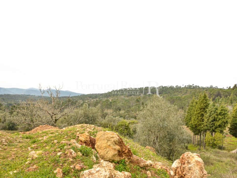 Helårsgrund i Condeixa-a-Nova, Coimbra - foto 5