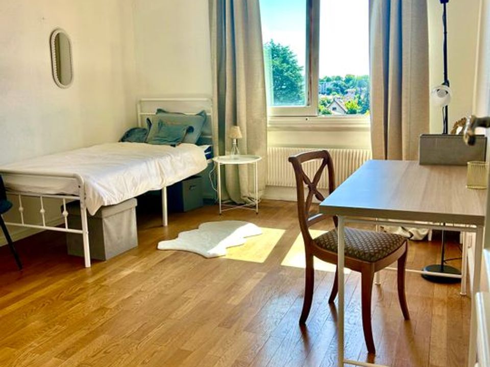 Studio i Bron, Rhone - foto 1