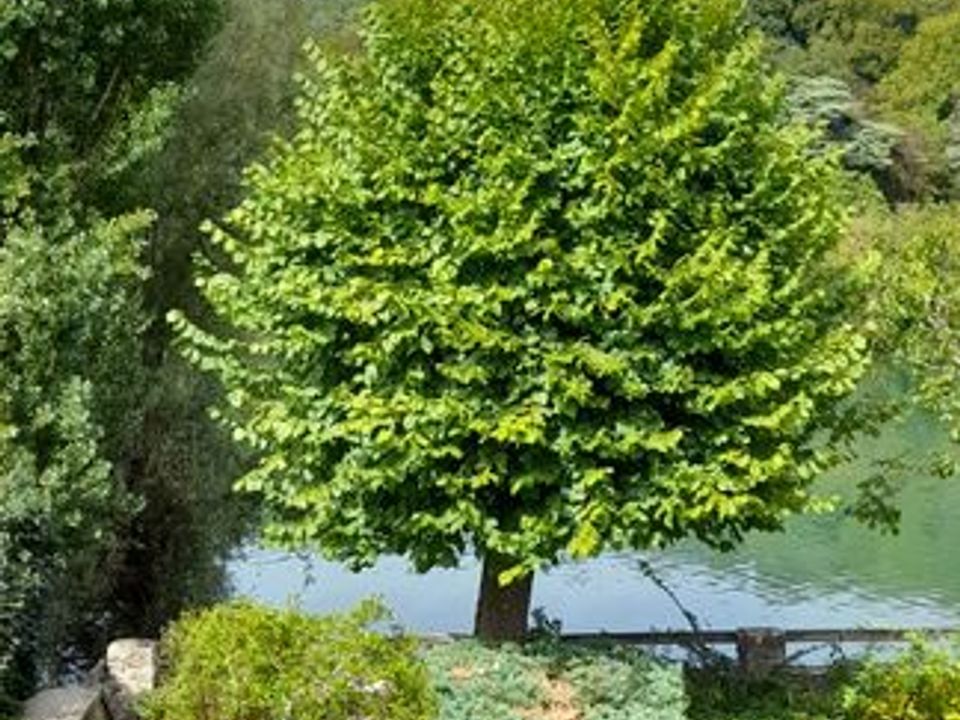 Villa i Thomery, Seine-et-Marne - foto 3