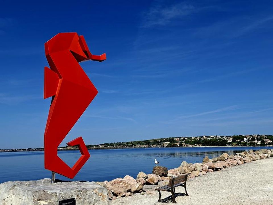 Helårsgrund i Bouzigues, Herault - foto 4