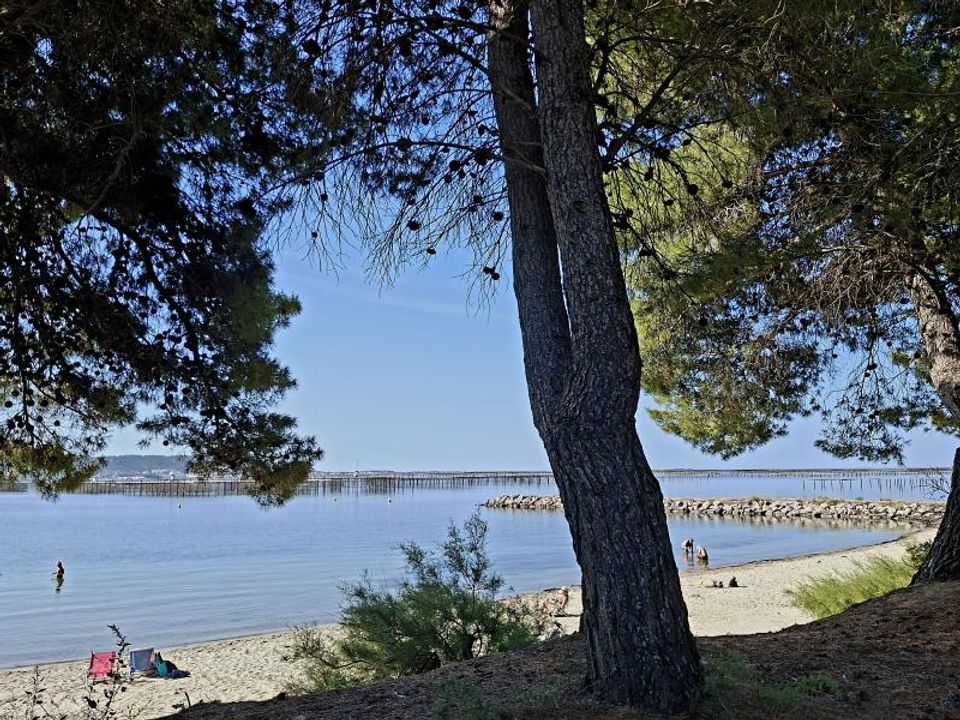 Helårsgrund i Bouzigues, Herault - foto 5