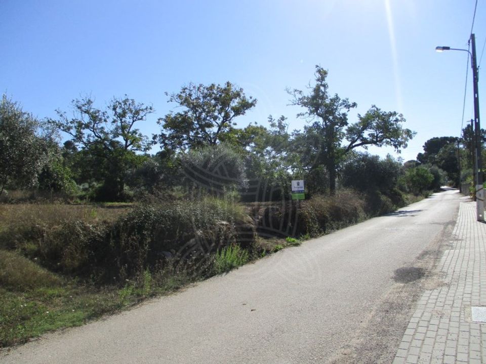 Helårsgrund i Condeixa-a-Nova, Coimbra - foto 3
