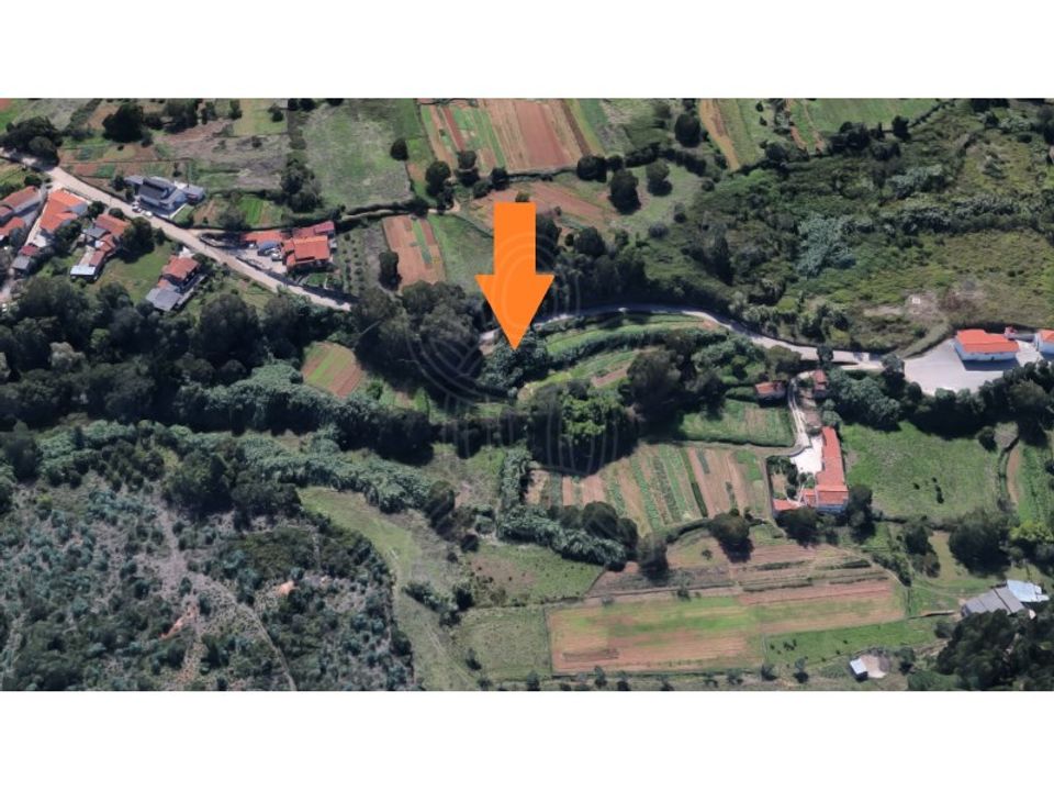 Farm i Condeixa-a-Nova, Coimbra - foto 2