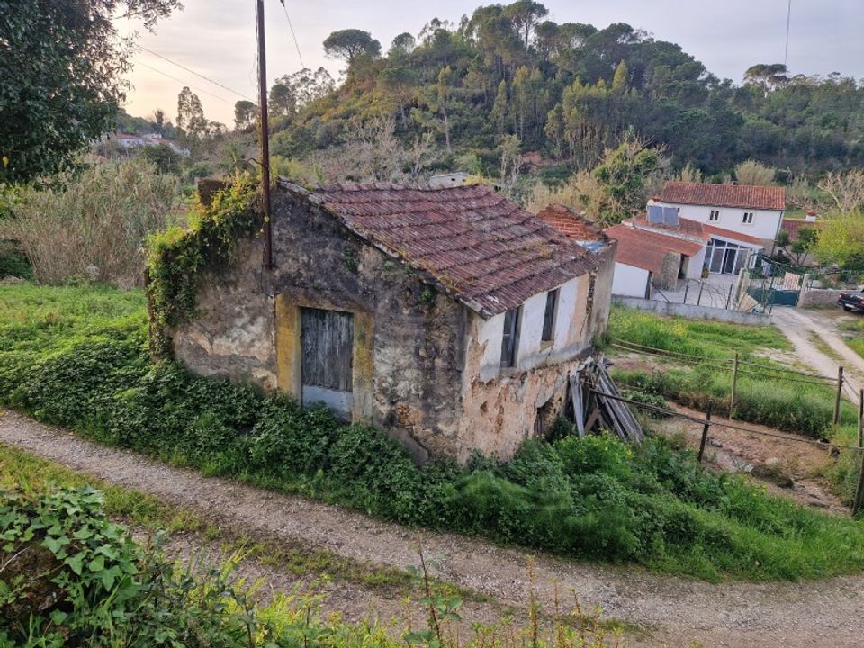 Farm i Condeixa-a-Nova, Coimbra - foto 5