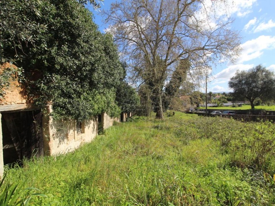 Helårsgrund i Condeixa-a-Nova, Coimbra - foto 3