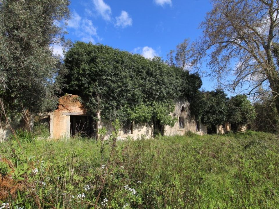 Helårsgrund i Condeixa-a-Nova, Coimbra - foto 5