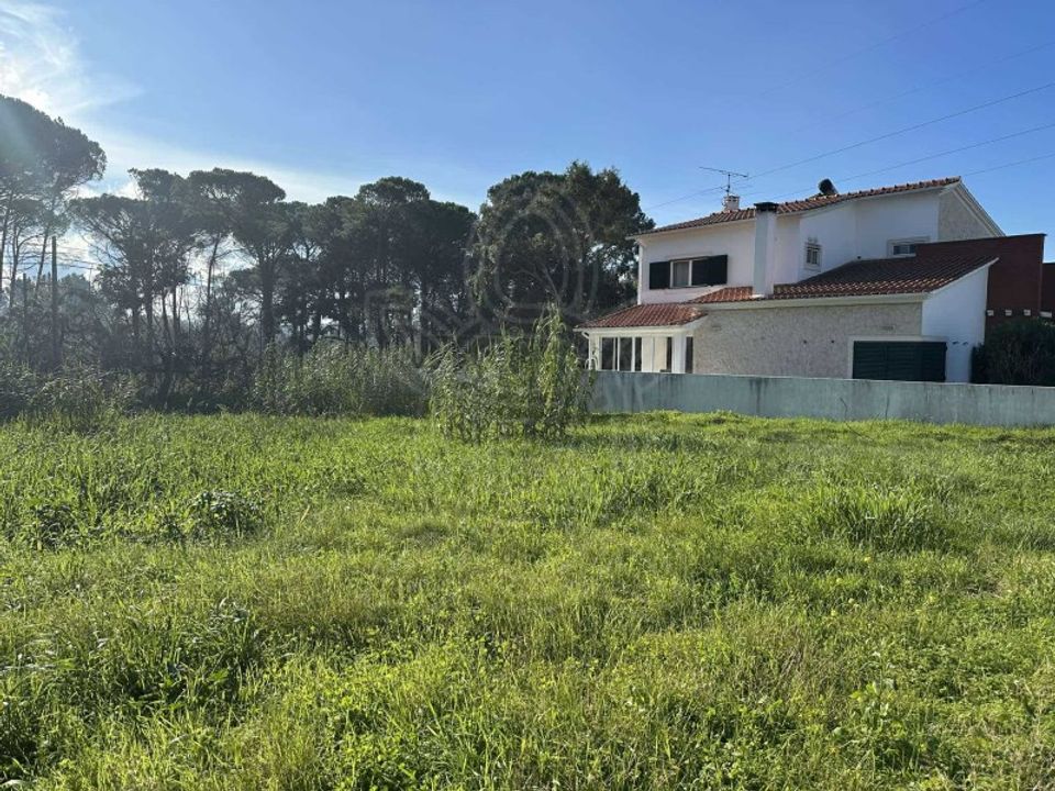 Helårsgrund i Condeixa-a-Nova, Coimbra - foto 4