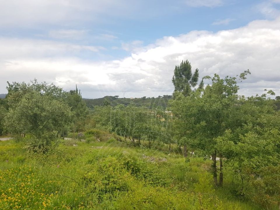 Helårsgrund i Condeixa-a-Nova, Coimbra - foto 1