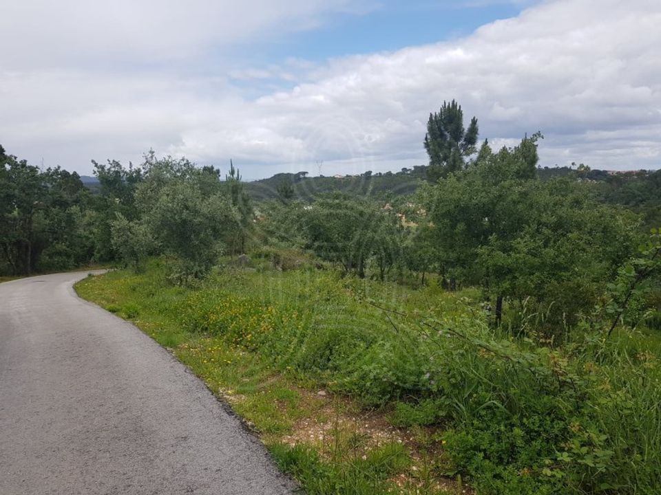 Helårsgrund i Condeixa-a-Nova, Coimbra - foto 5