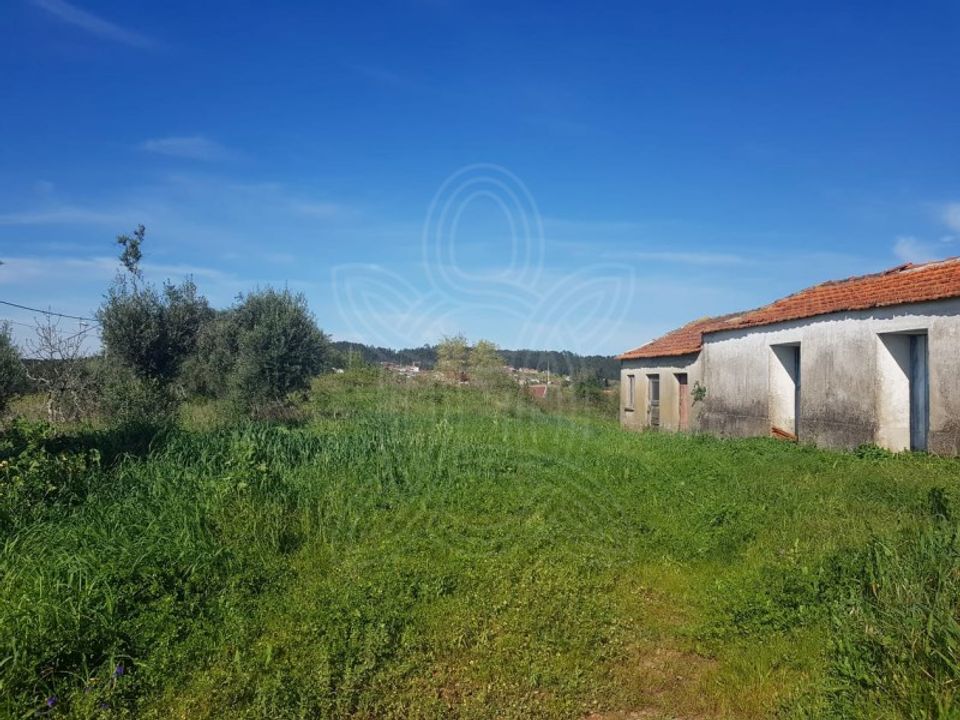 Helårsgrund i Condeixa-a-Nova, Coimbra - foto 1