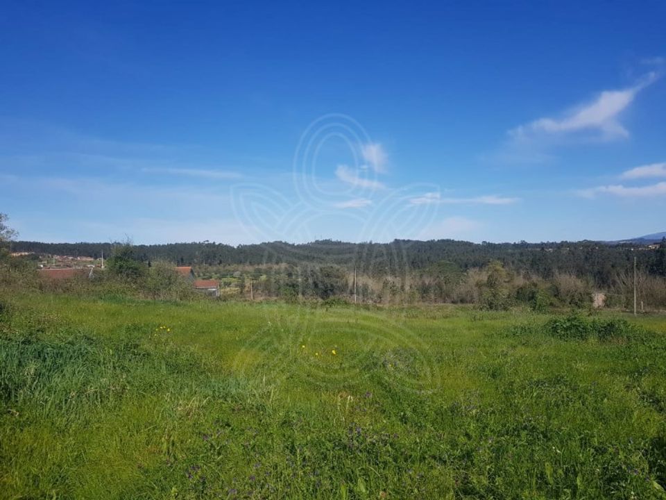 Helårsgrund i Condeixa-a-Nova, Coimbra - foto 2