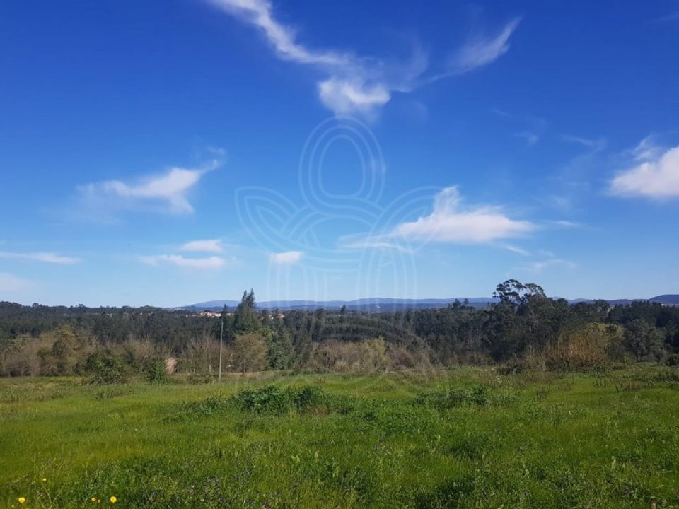 Helårsgrund i Condeixa-a-Nova, Coimbra - foto 3