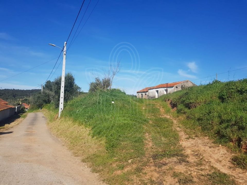 Helårsgrund i Condeixa-a-Nova, Coimbra - foto 5