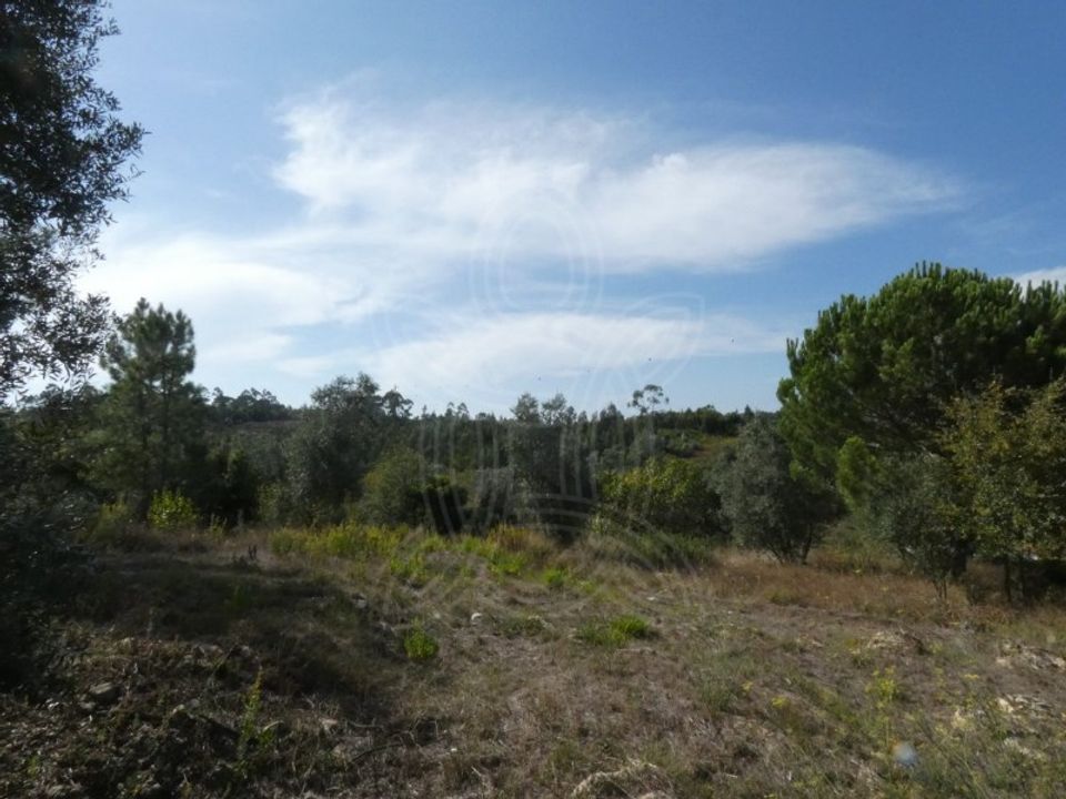 Helårsgrund i Assafarge e Antanhol, Coimbra - foto 3