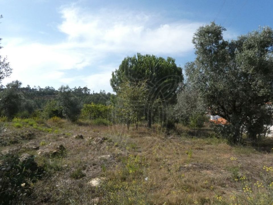 Helårsgrund i Assafarge e Antanhol, Coimbra - foto 5