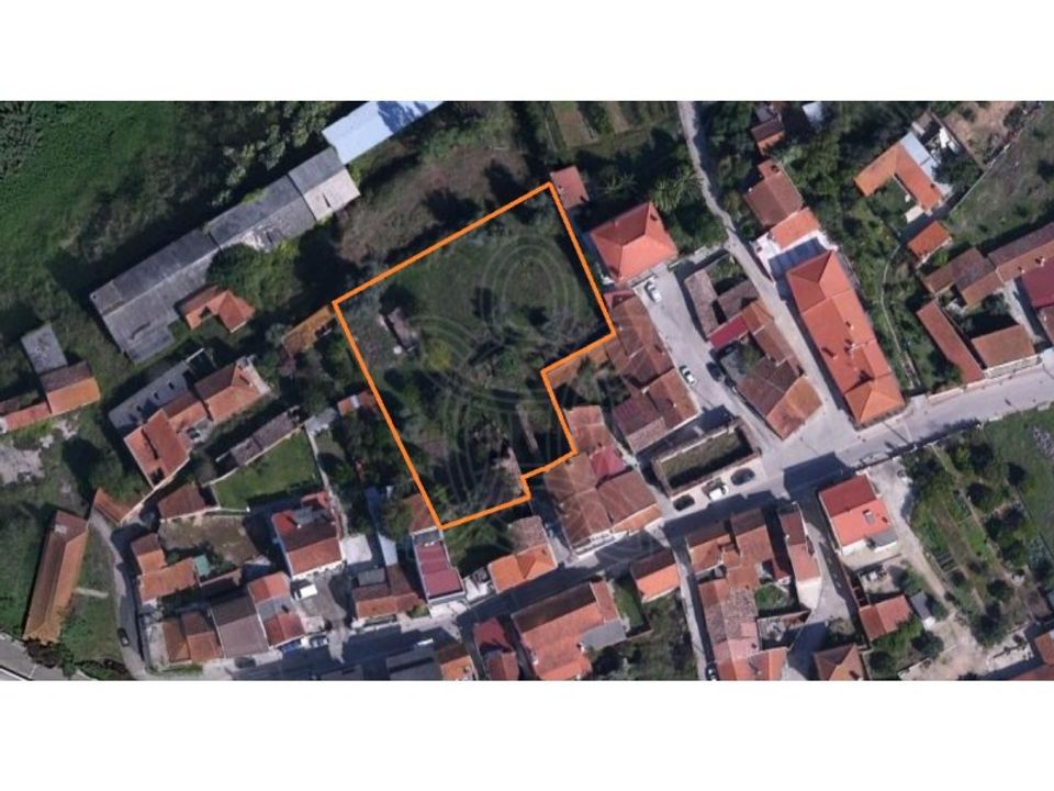Helårsgrund i Condeixa-a-Nova, Coimbra - foto 3