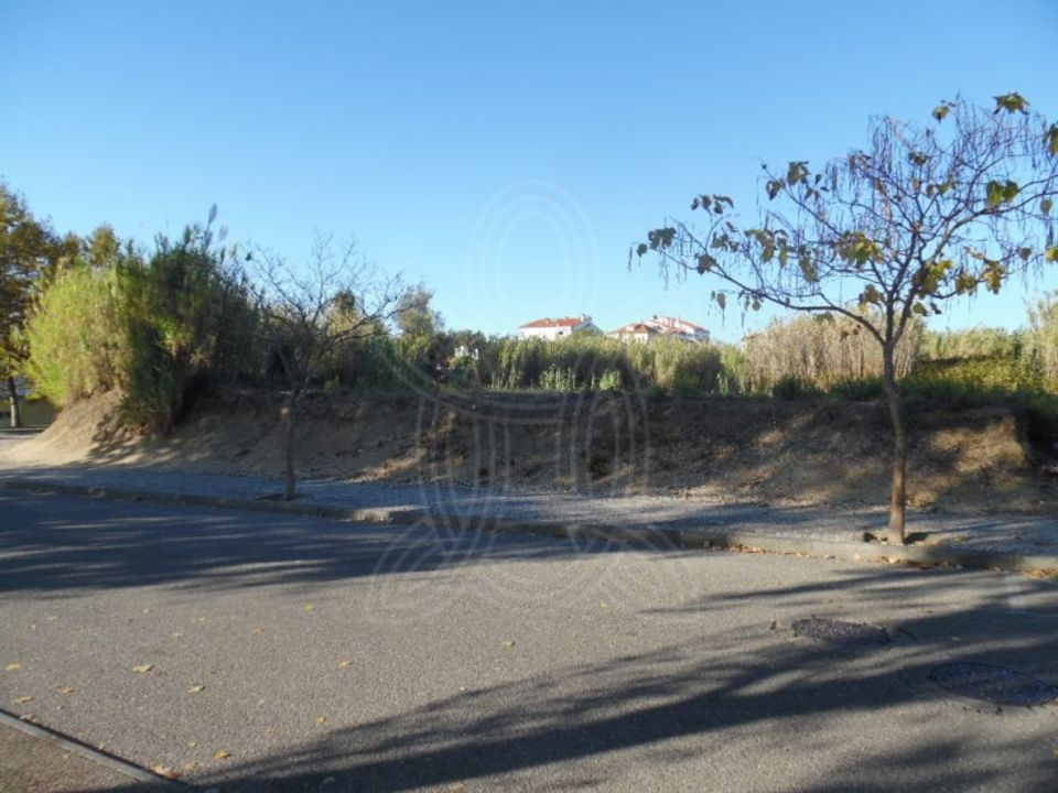 Helårsgrund i Condeixa-a-Nova, Coimbra - foto 3
