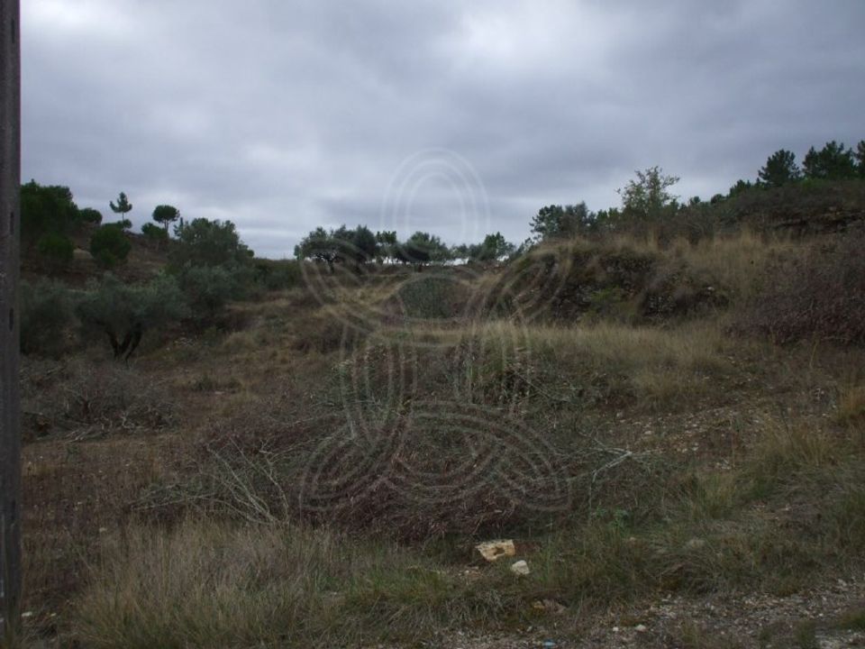 Helårsgrund i Condeixa-a-Nova, Coimbra - foto 2