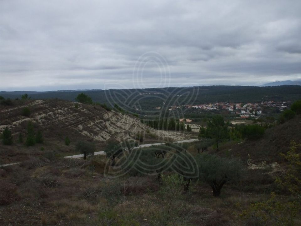 Helårsgrund i Condeixa-a-Nova, Coimbra - foto 5