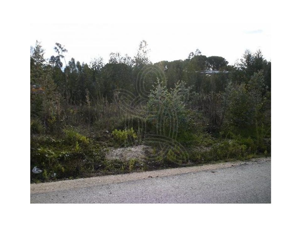 Helårsgrund i Condeixa-a-Nova, Coimbra - foto 5