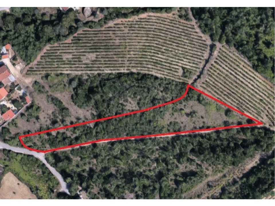 Terreno en Condeixa-a-Nova, Coimbra - foto 1