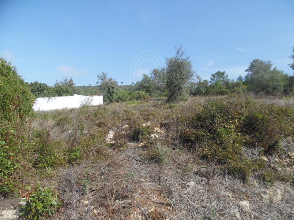 Terreno en Condeixa-a-Nova, Coimbra - foto 4