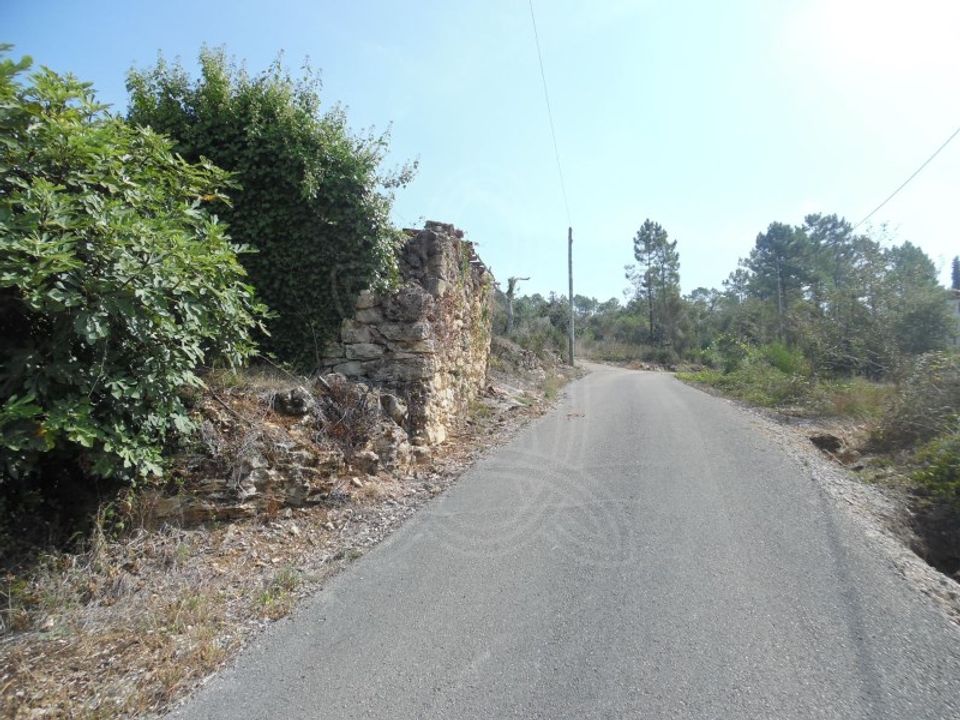 Terreno en Condeixa-a-Nova, Coimbra - foto 5