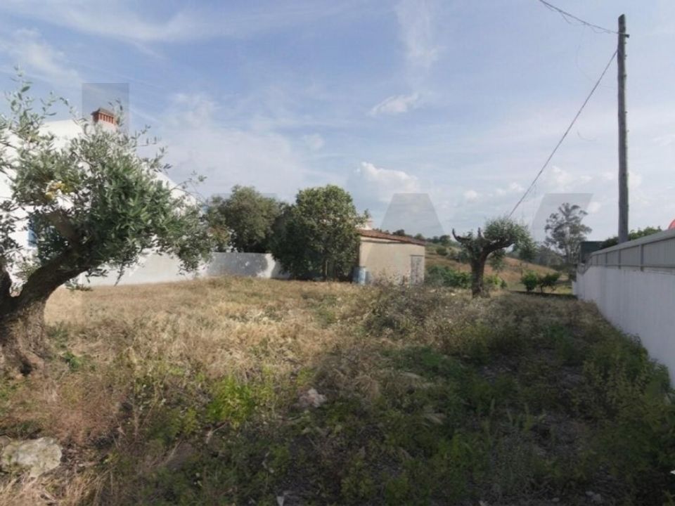 Helårsgrund i Carregueira, Santarem - foto 3