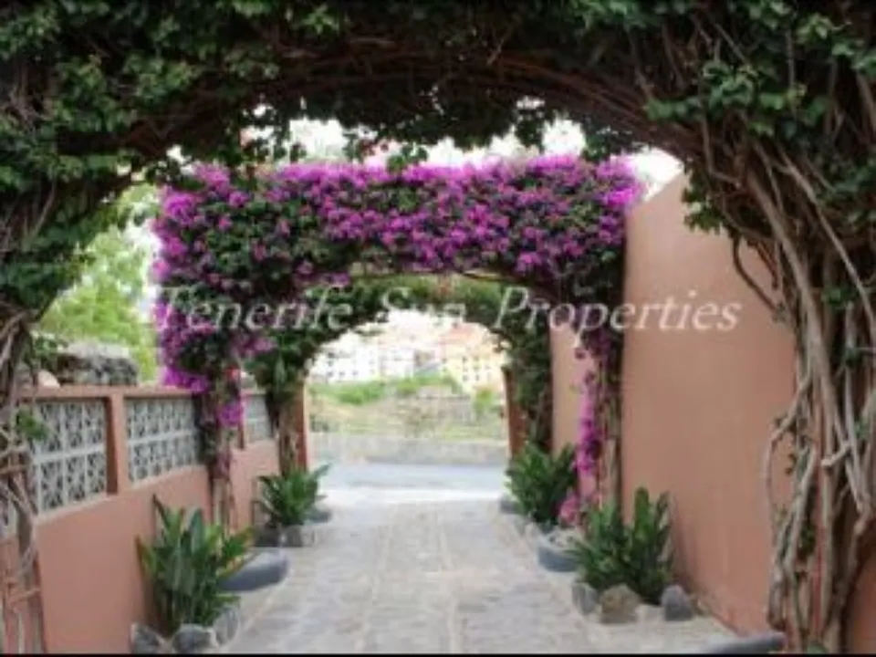 Villa i Puerto De La Cruz, Tenerife - foto 4