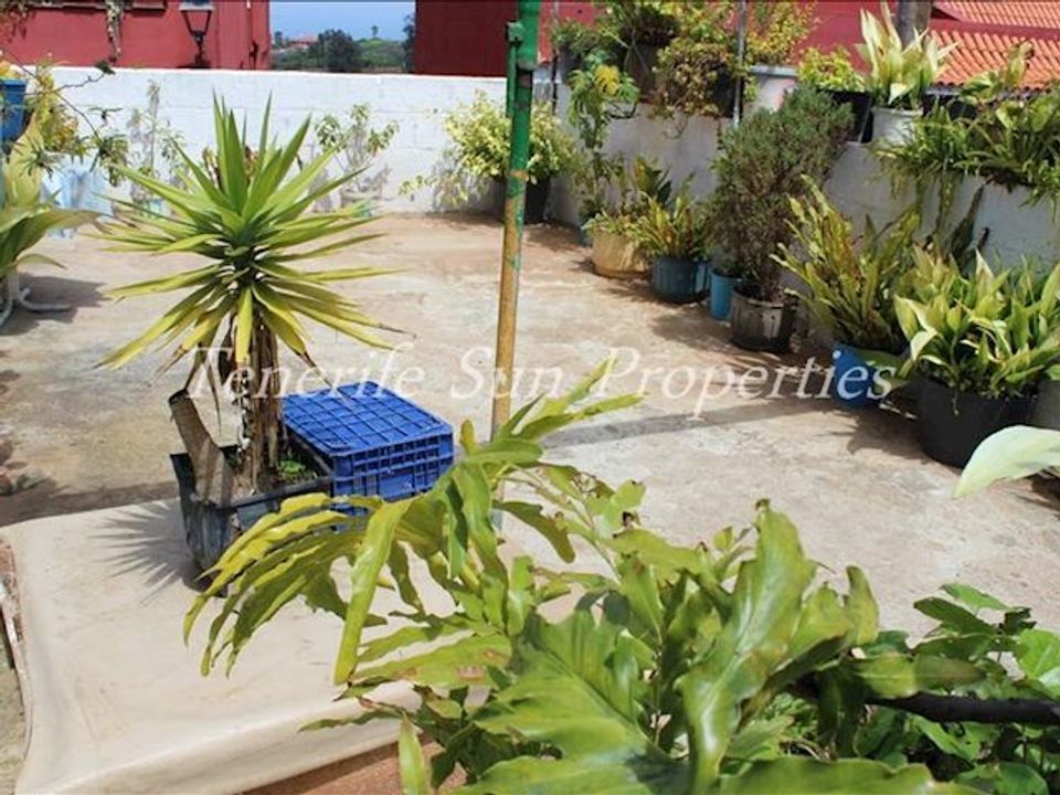 Finca i Tacoronte, Tenerife - bilde 3