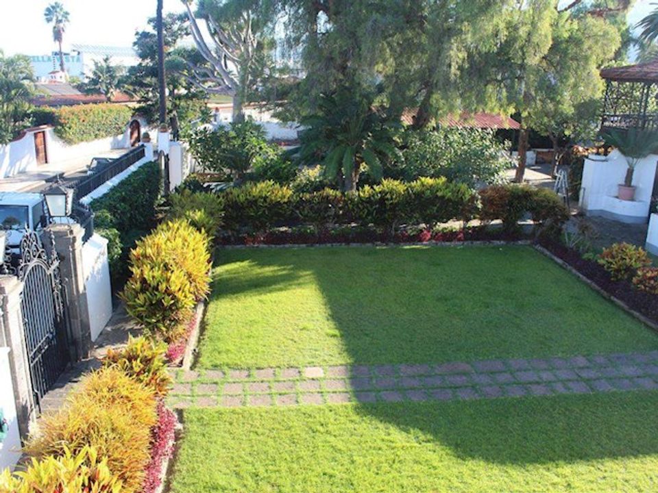 Finca i Puerto De La Cruz, Tenerife - foto 4