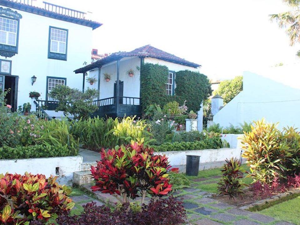 Finca i Puerto De La Cruz, Tenerife - foto 5