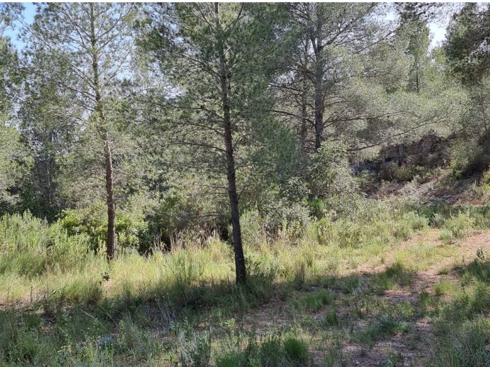 Finca i Benifallet, Tarragona - foto 2