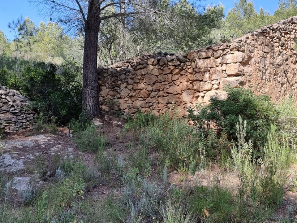Finca i Benifallet, Tarragona - foto 5