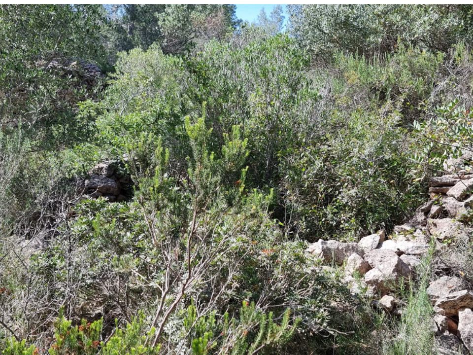 Finca i Benifallet, Tarragona - foto 4