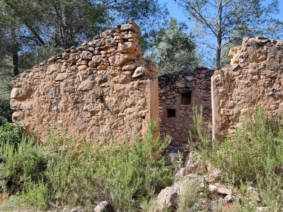 Finca i Benifallet, Tarragona - foto 1