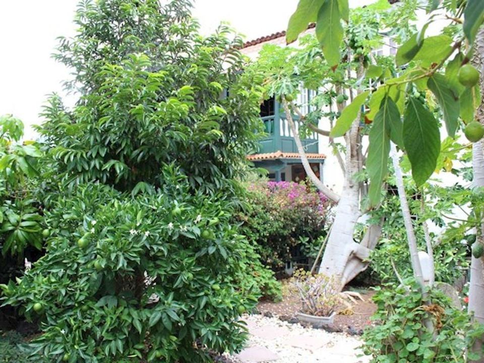 Finca i La Orotava, Tenerife - foto 1